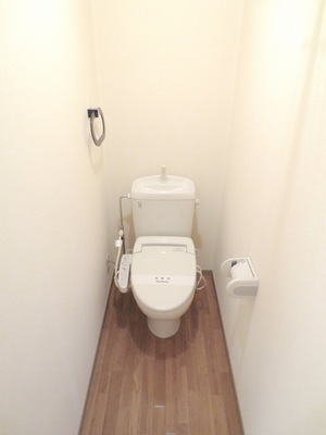 Toilet. Hot-water heating toilet seat