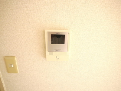 Security. TV Intercom