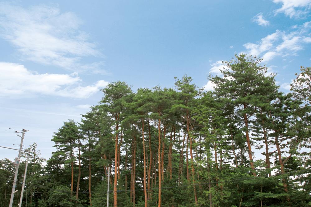 Other. Local peripheral (10 May 2011) Shooting