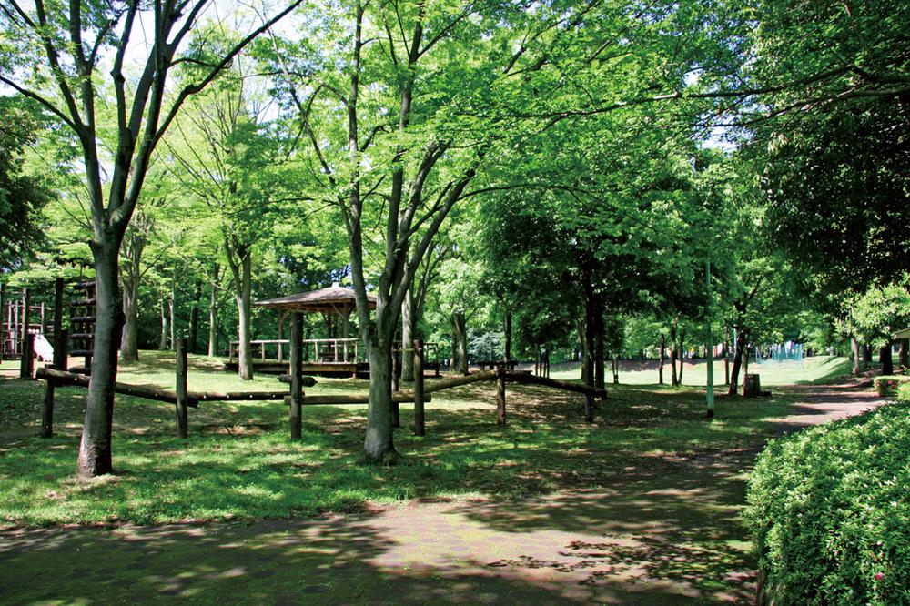 park. Nearby park (May 2012) shooting