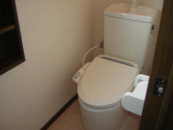 Toilet. It was replaced in hot water cleaning function toilet