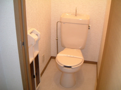 Toilet. Toilet with cleanliness