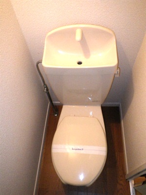 Toilet. Simple cleaning a breeze!