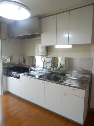 Kitchen. It was sink exchange in 2013 July. 