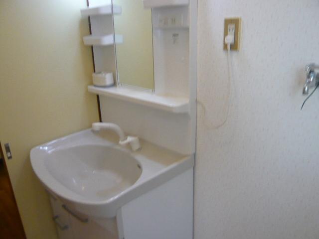 Wash basin, toilet. Vanity unit Renovation with a new one