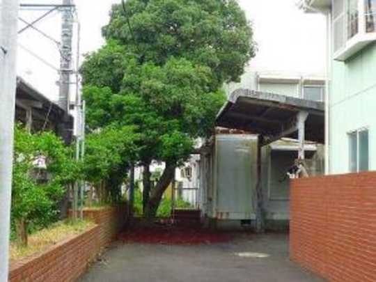 Local land photo. appearance