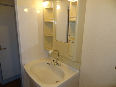 Washroom. Shampoo is a separate wash basin with dresser. 