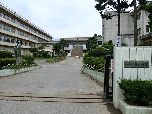 Primary school. Kasukabe Tatsumidori to elementary school 1083m
