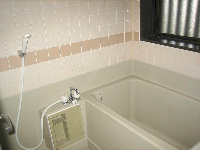 Bathroom. There window.