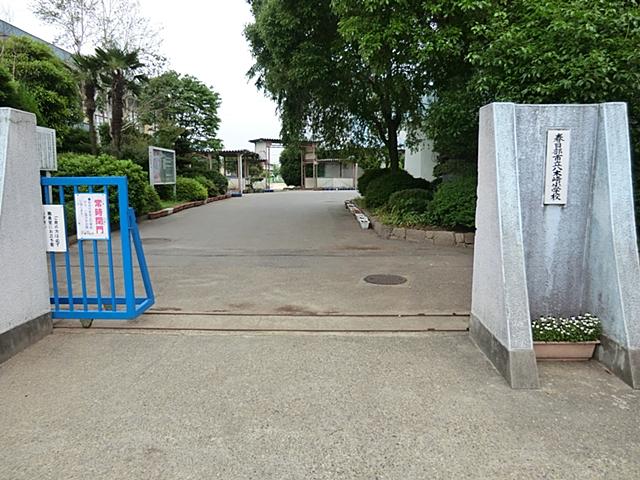 Primary school. Kasukabe Municipal Yagisaki to elementary school 1240m