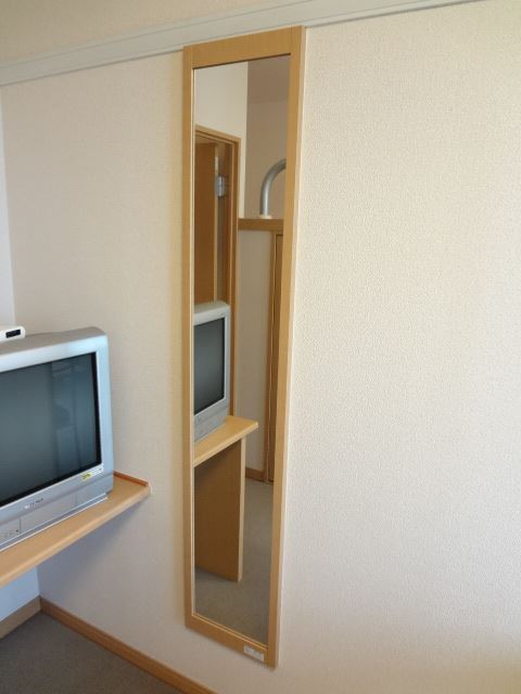 Other room space. There is a full-length mirror in front of the storage. TV depends on the room