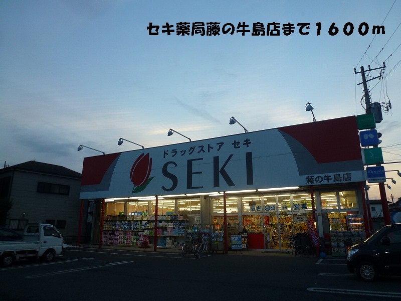 Dorakkusutoa. Cough pharmacy Fujinoushijima shop 1600m until (drugstore)