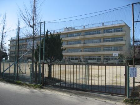 Junior high school. Tanihara 2020m until junior high school