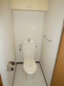 Toilet. Toilet