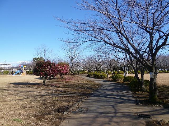 park. 787m up to one percentage park