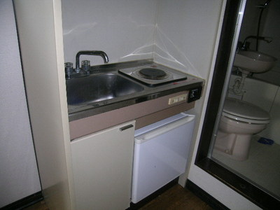 Kitchen. Refrigerator with mini-kitchen