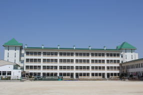 Primary school. Bingo 300m up to elementary school (elementary school)