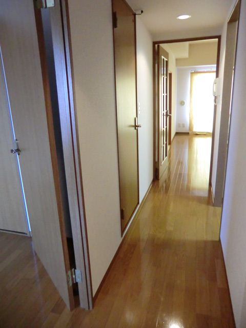 Other. It floor plan is nice that there is a long corridor.