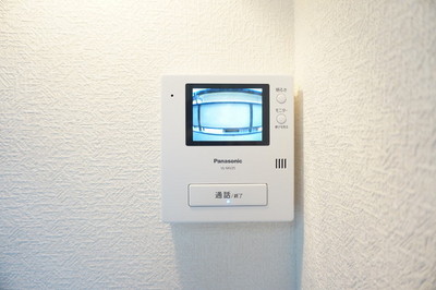 Other Equipment. Glance at a TV monitor with intercom visitor who is found