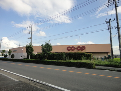 Supermarket. 300m to Saitama Co-op (super)