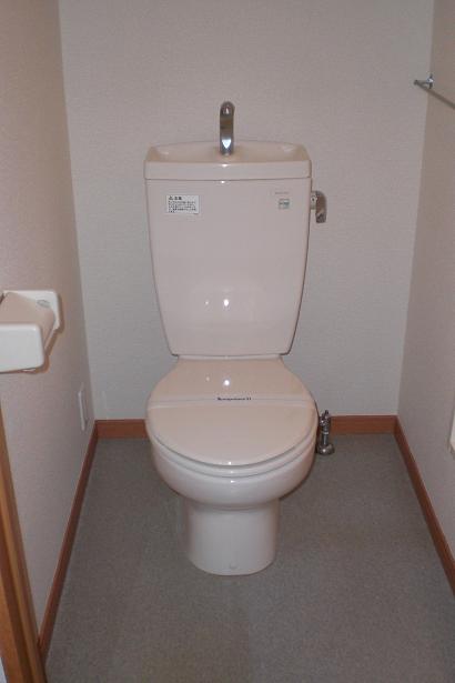 Toilet. Western-style flush toilet