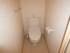 Toilet. Toilet