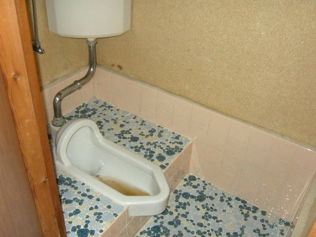 Toilet