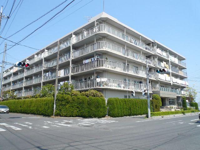 Local appearance photo. Local (February 2013) Shooting