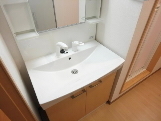 Washroom. Comes with Vanity in dressing room (is an image)