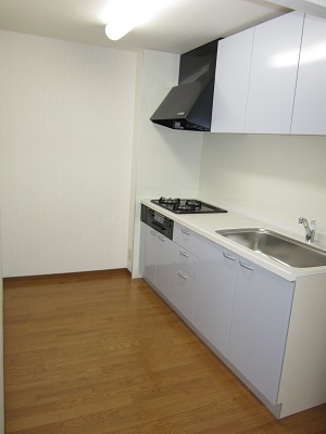 Kitchen. System kitchen new