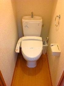 Toilet. Bidet with toilet