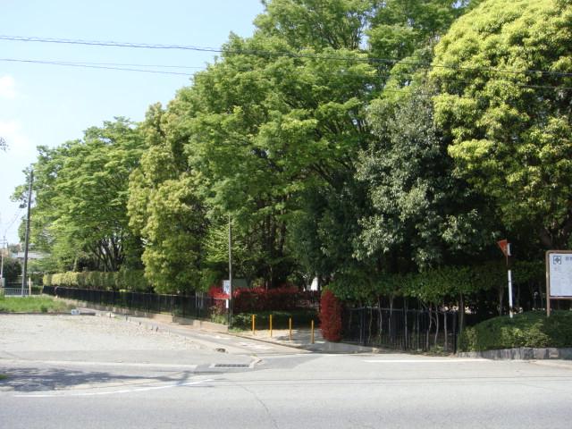 park. 562m lush large park to Hachiman park, Next to Hachiman Shrine