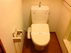 Toilet. Bidet with toilet