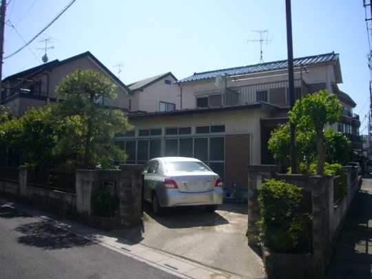 Local land photo. Appearance 1