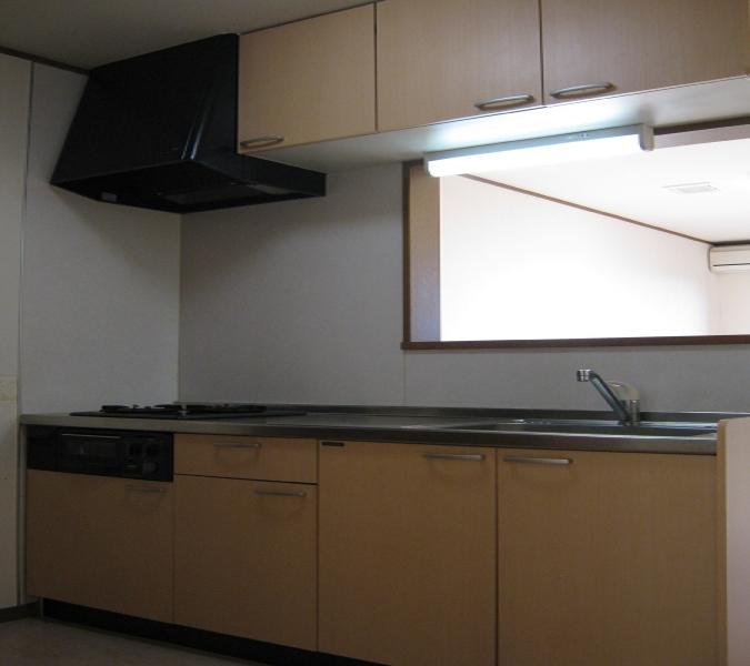 Kitchen. System kitchen