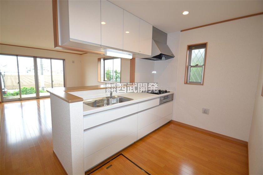 Kitchen. Indoor (July 2013) Shooting