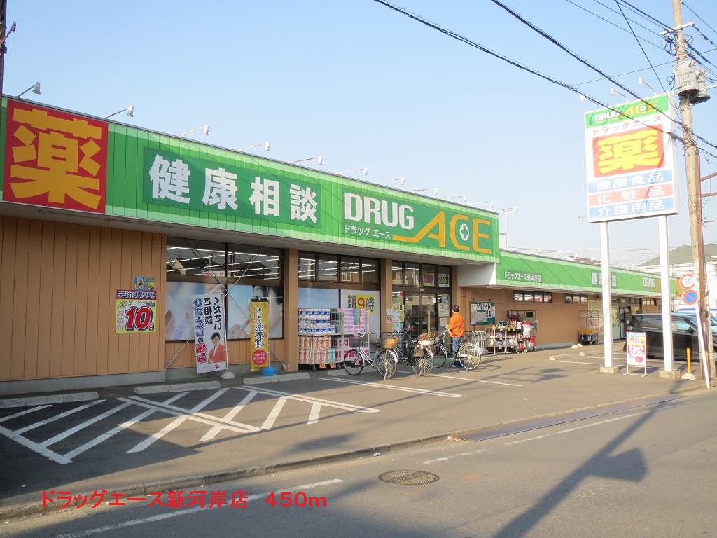 Dorakkusutoa. Drag ace Shingashi shop 450m until (drugstore)