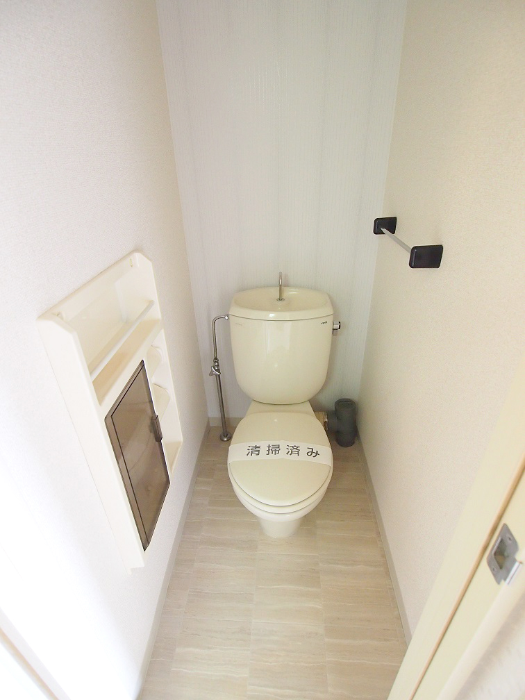 Toilet. Toilet floor was also replaced by sticking new