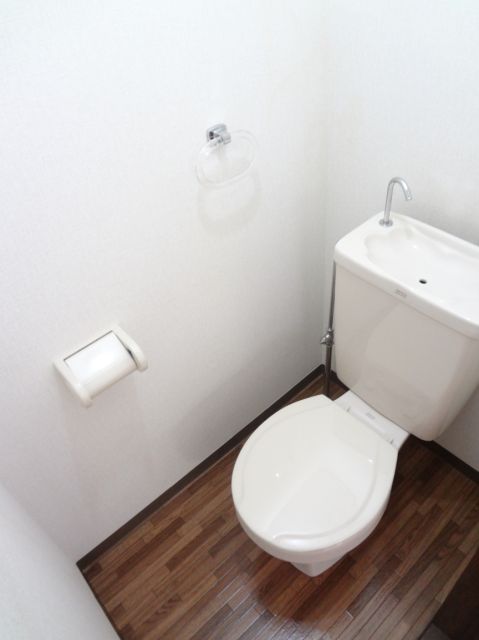 Toilet. Clean up in the pure white cross