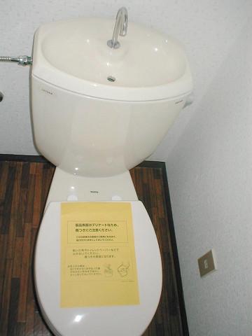 Toilet. Toilet