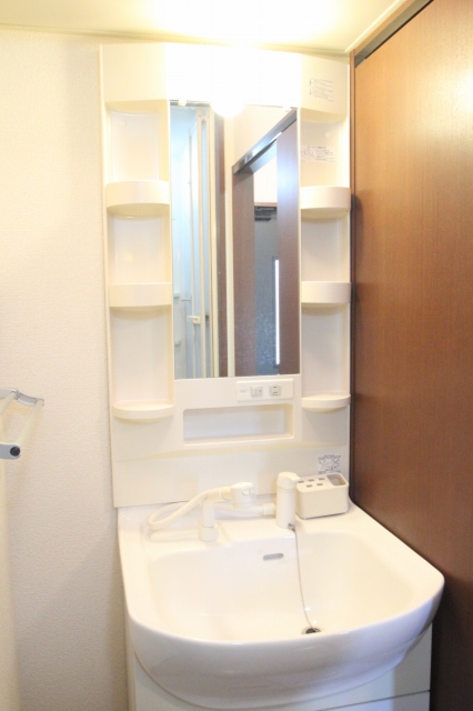 Washroom. Bathroom Vanity