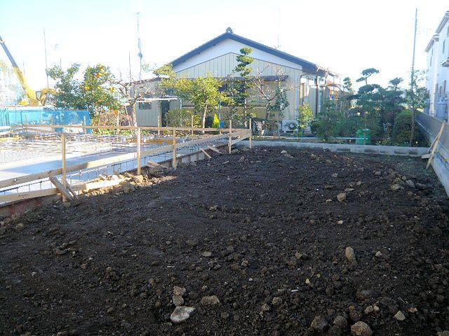 Garden. 12 / 12 shooting The garden. It is wide