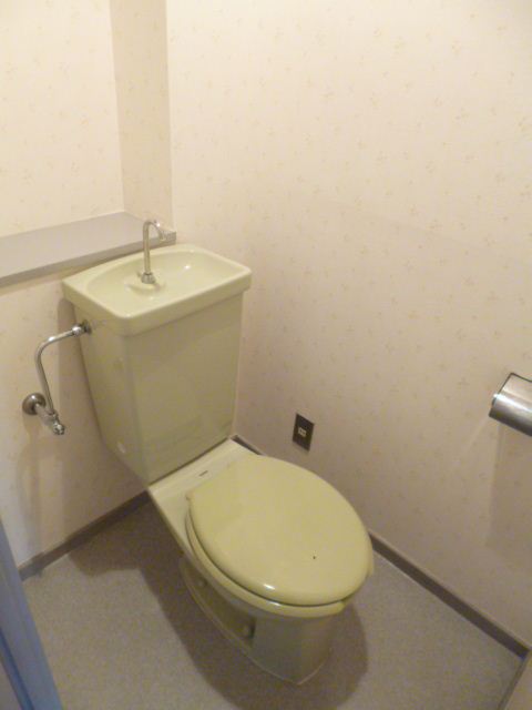 Toilet. Is a beautiful toilet in which the white tones.