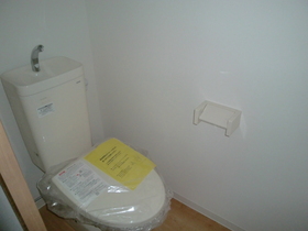 Toilet. It is with heating toilet seat