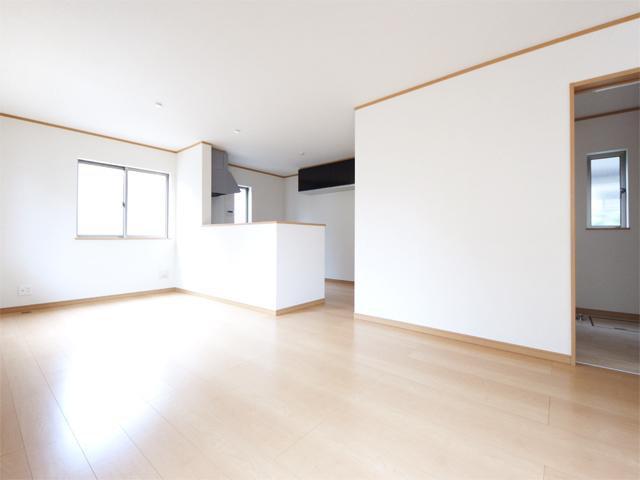 Living. Room (August 2013) Shooting