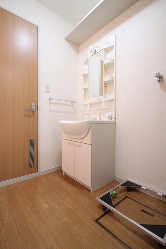 Washroom. Independent washbasin shampoo dresser