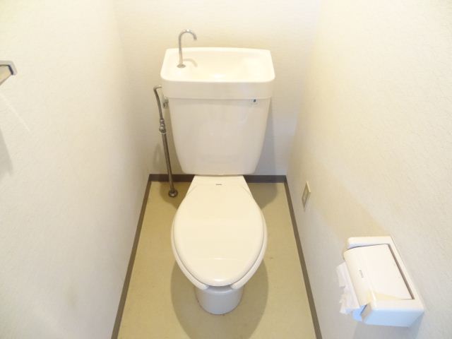 Toilet. Western-style is also wall-to-wall storage.