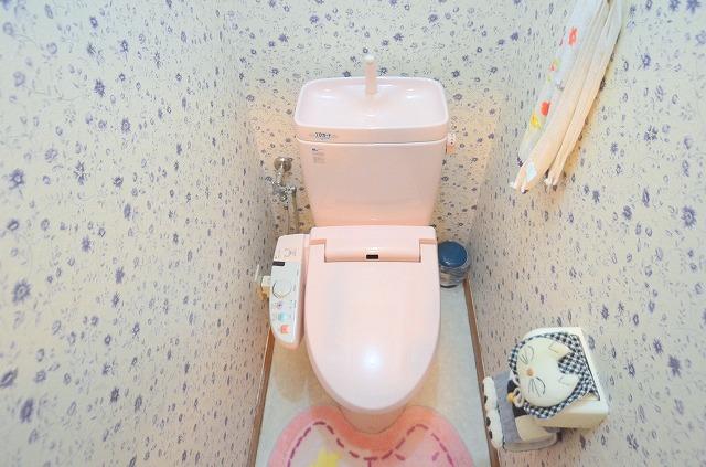 Toilet. ~ Toilet photo ~