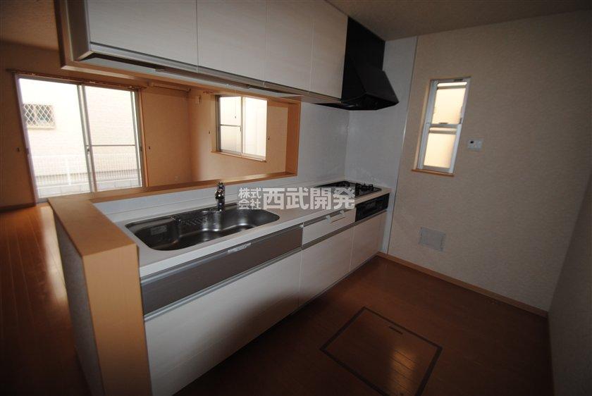 Kitchen. Indoor (11 May 2013) Shooting