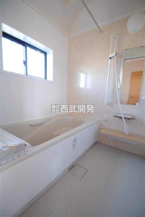 Bathroom. Indoor (10 May 2013) Shooting